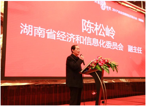湖南省经济和信息化委员会副主任陈松岭